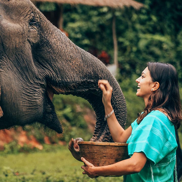 Lady with Elephant